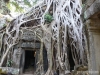 camboya-29