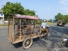 camboya-56