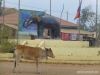 camboya-67