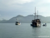 barcomar1