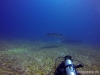 DCIM\100GOPRO
