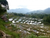 p1000577