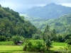 p1000623