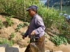 laos-57
