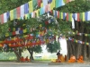 nepal-3