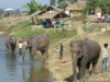 nepal-53
