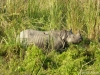 nepal-63