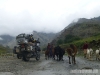 pakistan-91