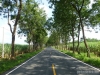 tailandia-37