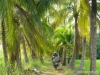 tailandia-38
