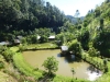 tailandia-69