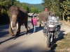 tailandia-70