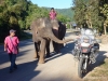 tailandia-71