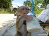 tailandia-ii-sur-36