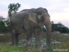tailandia-ii-sur-45
